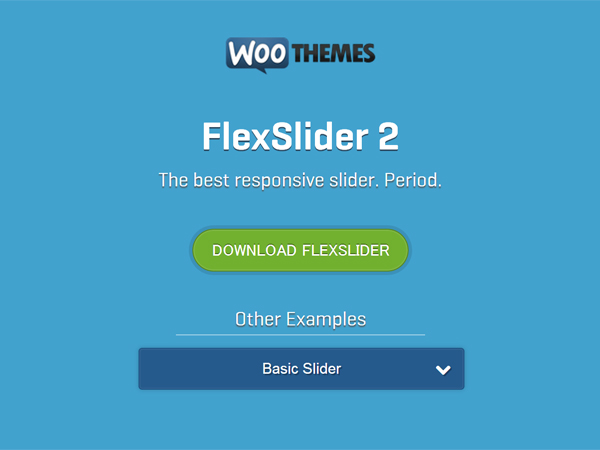 2FlexSlider-2